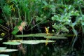 _DSC0235