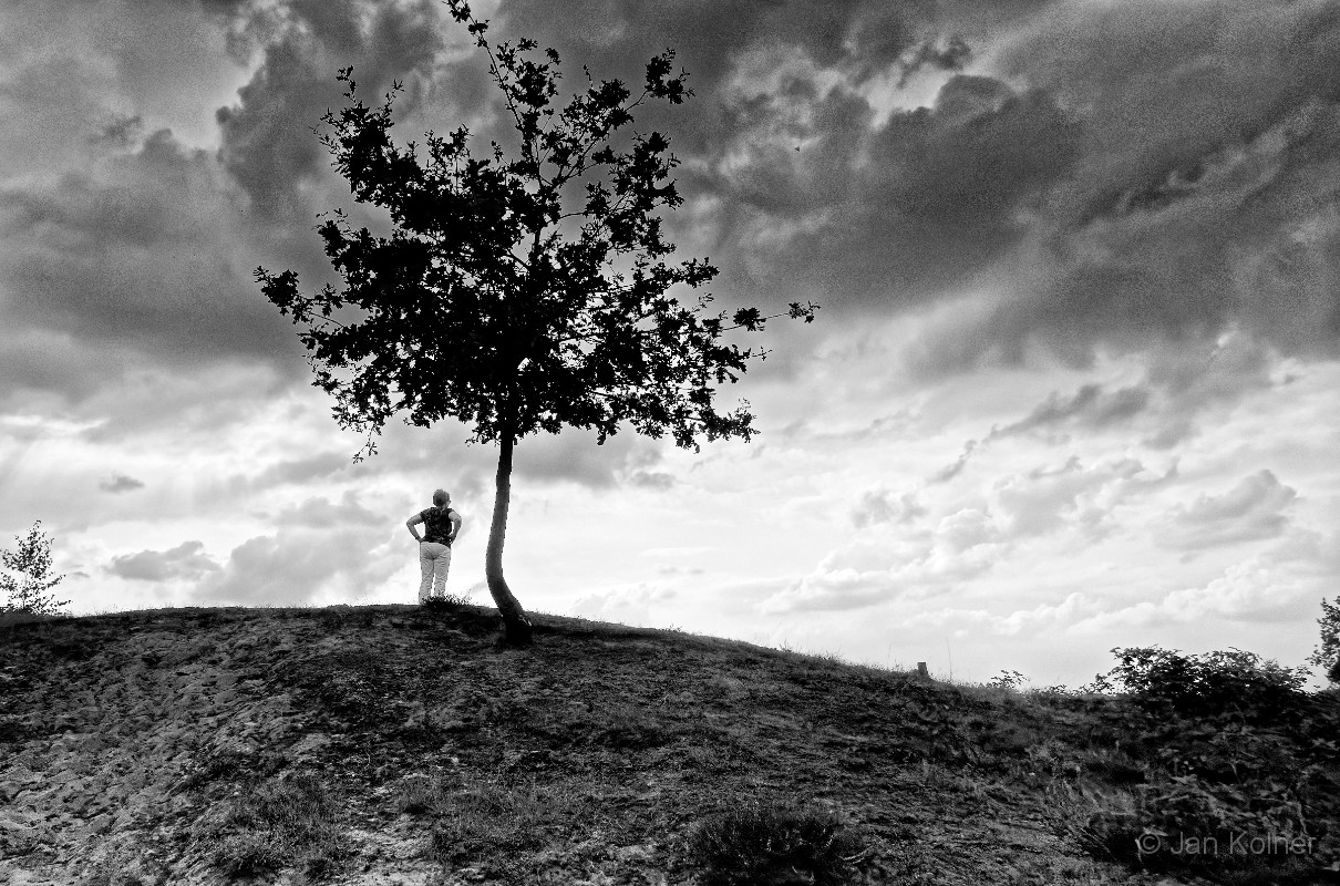 _1010961DxO_zw.jpg - 07