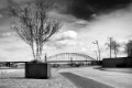 _DSC0048-zw