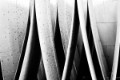 _DSC1914-zw