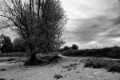_DSC3283-zw
