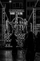 _DSC4400-zw