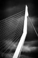 _DSC7797a-zw