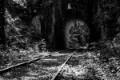 a_DSC3833aa-zw