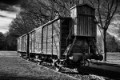 b_DSC2027-zw